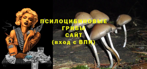 метамфетамин Липки