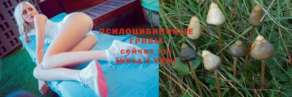 ALPHA-PVP Магадан