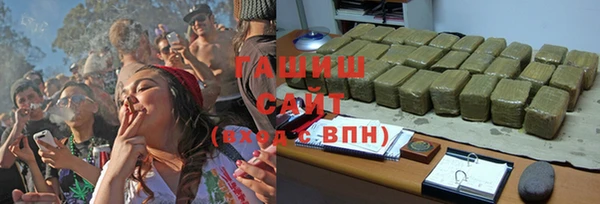 индика Медвежьегорск