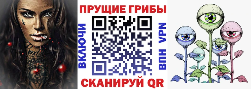 Купить закладки  Ленск  Псилоцибиновые грибы Psilocybe 